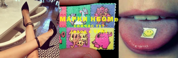 2c-b Ельня