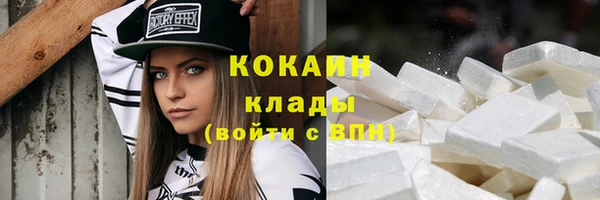 2c-b Ельня