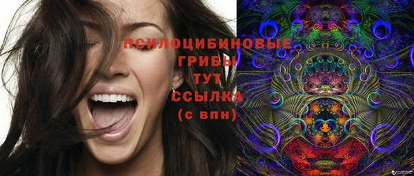 2c-b Ельня