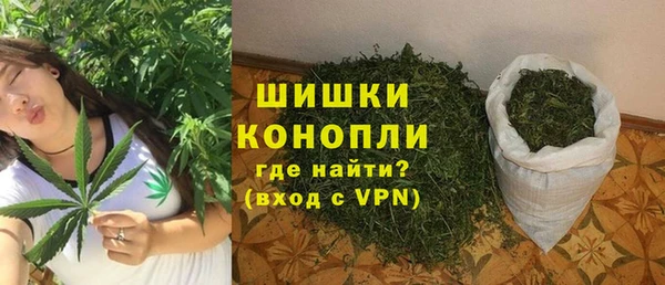 стафф Елизово