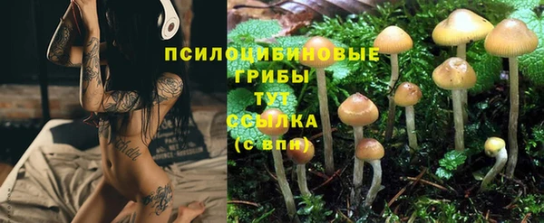 стафф Елизово