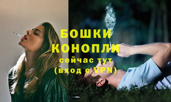 2c-b Ельня