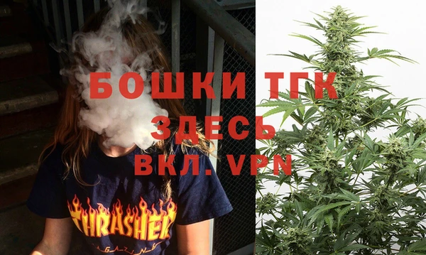 2c-b Ельня