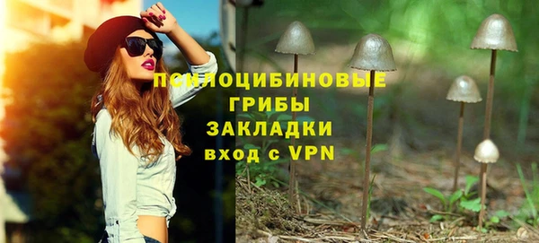 стафф Елизово