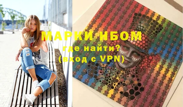 стафф Елизово